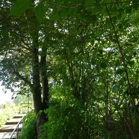 Holiday home Landleben - 1 *